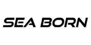 NBS_Partner_Seaborn