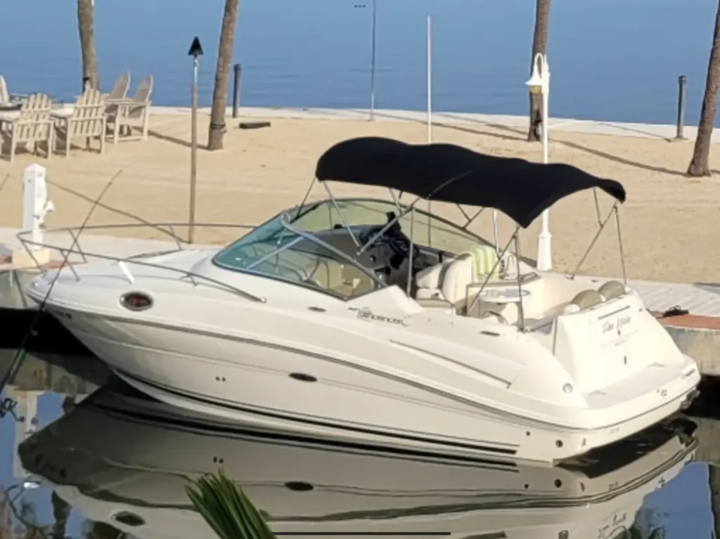 Sea Ray 240 Sundancer