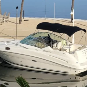 Sea Ray 240 Sundancer